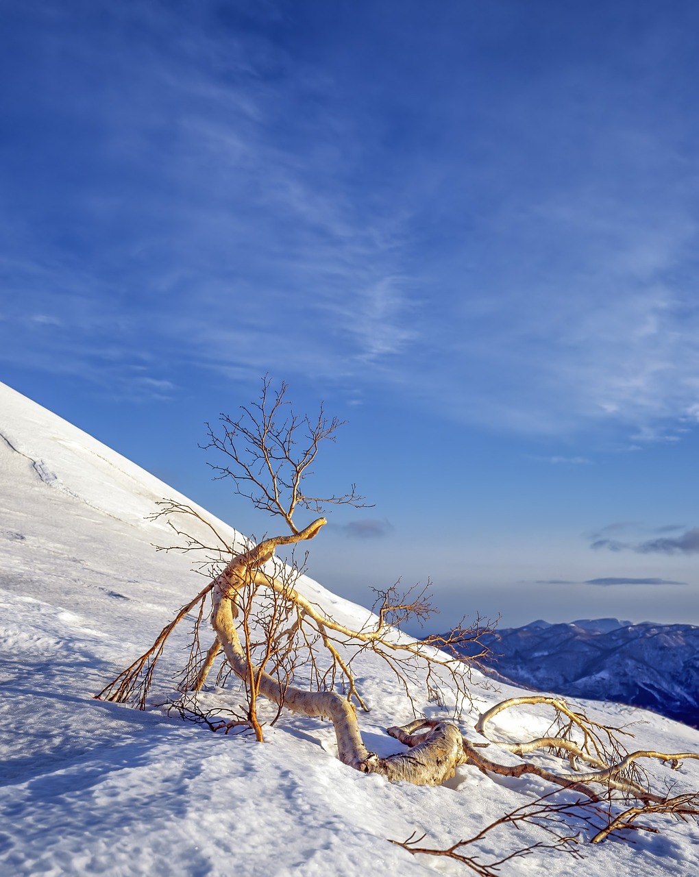 カニ食べ放題と温泉宿が楽しめる青森県下北半島のおすすめは？