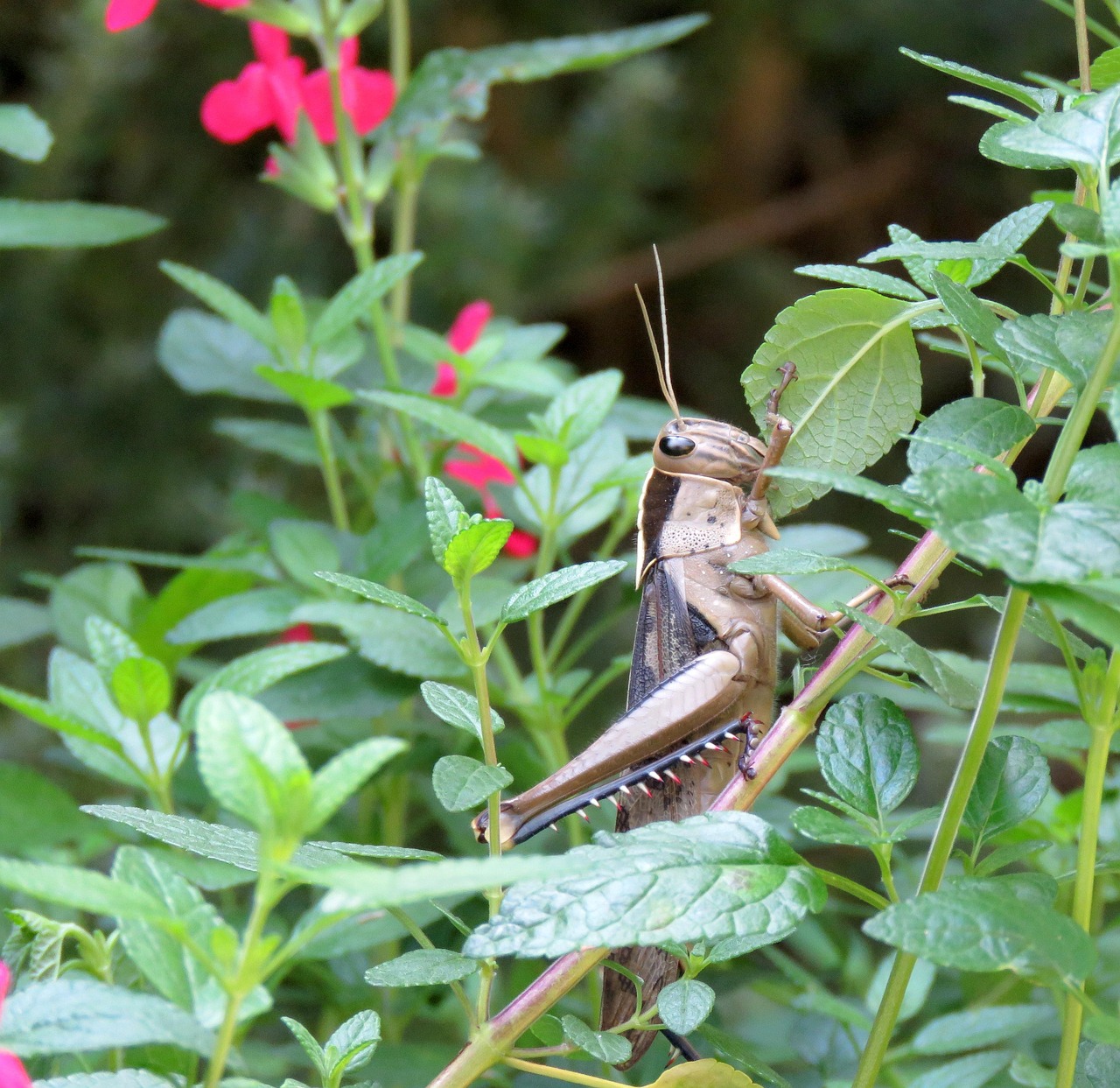 カニ食べ放題の温泉宿でチェックインを早めにする方法は？