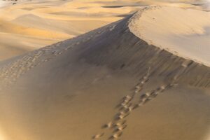 カニ食べ放題の温泉宿は母娘旅行におすすめですか？