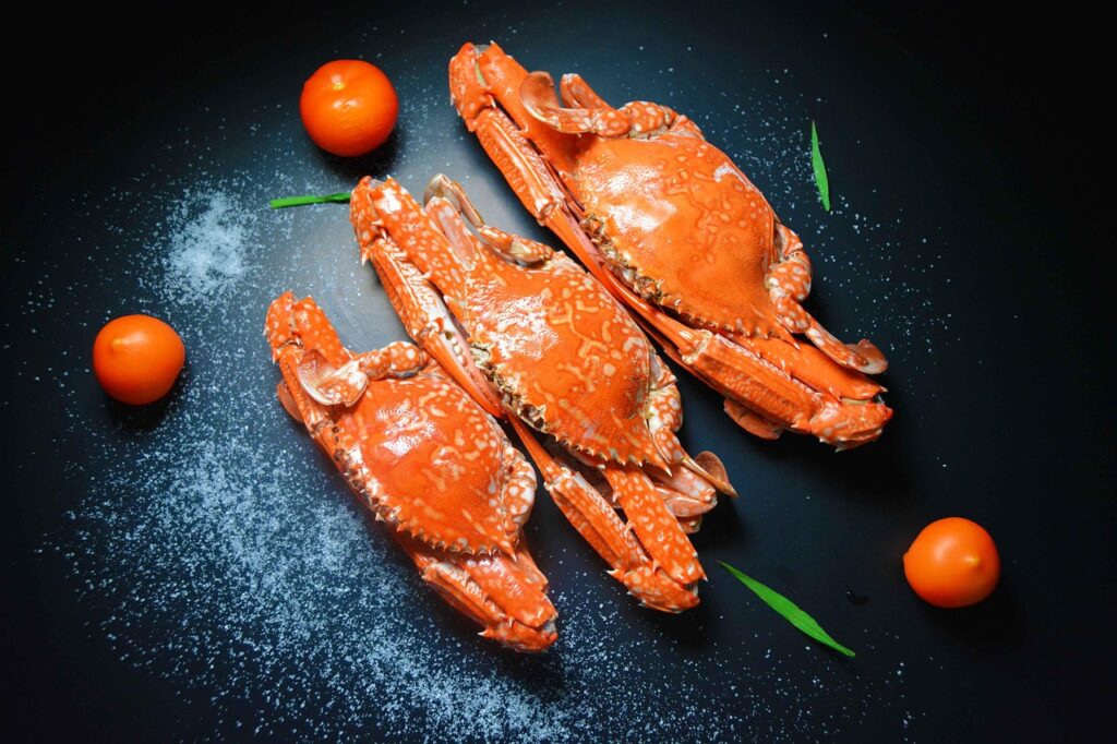 蟹 食べ放題 温泉でカニ味噌があるビュッフェは本当に満足できる？