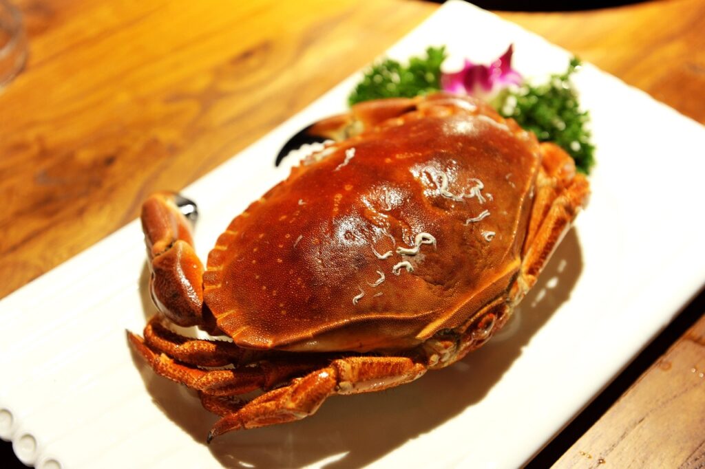 蟹食べ放題と温泉を楽しむ2泊3日の日本海ルートはどれがベスト？