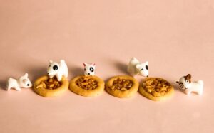 カニ食べ放題旅行の口コミを参考にすれば、満足できるプランが見つかる？