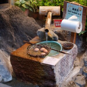 温泉宿で楽しむカニのおすすめプランはどれ？